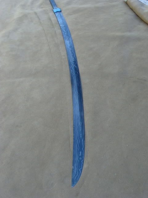 DSC01915.jpg