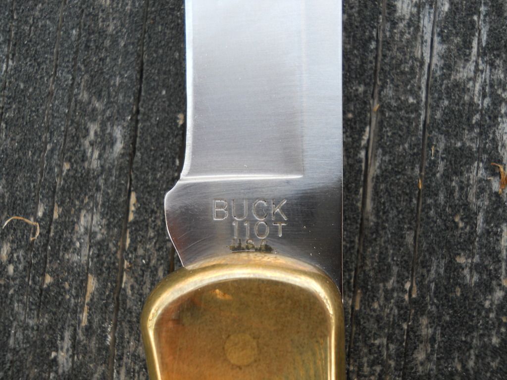 Buck110005.jpg