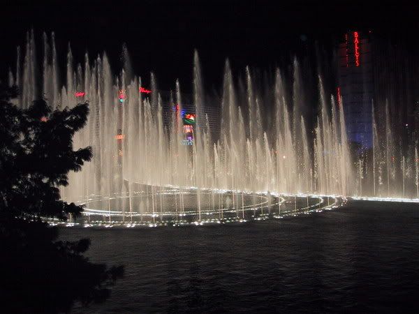 IMG_0036.jpg