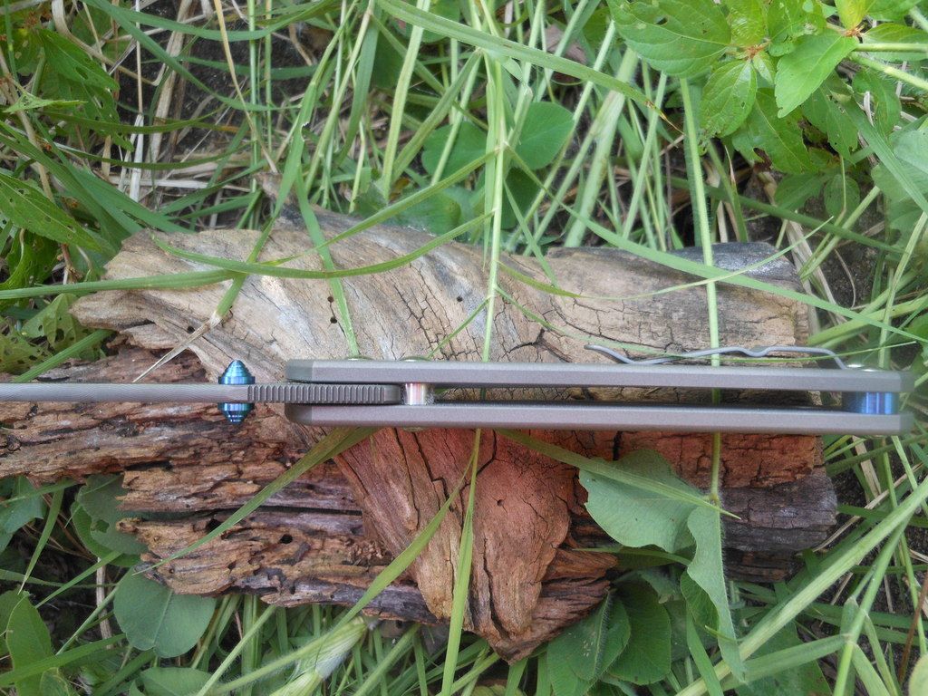 DSCN1300.jpg