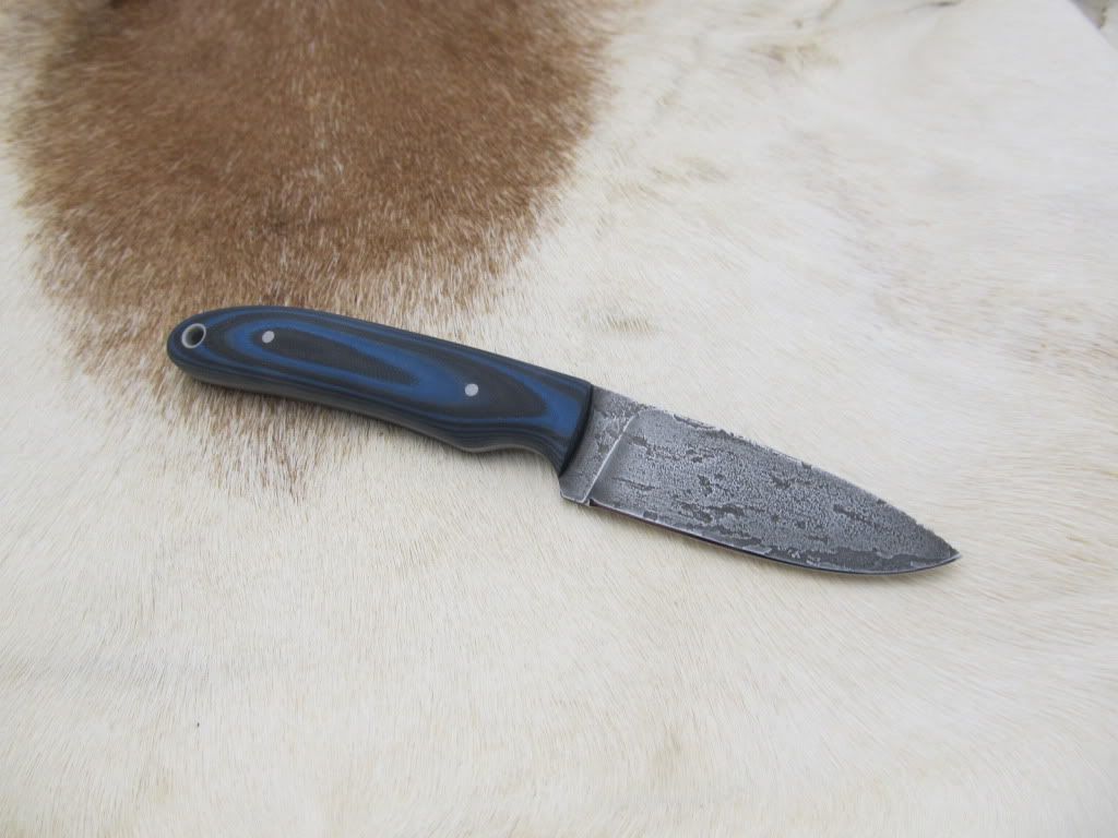 g10rattlesnakeedc017.jpg