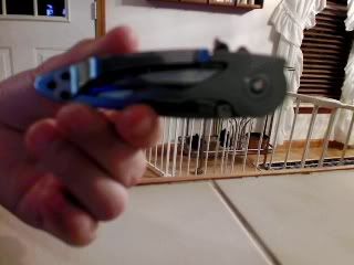 Picture28.jpg