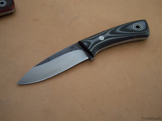 ej102_1509-vi.jpg