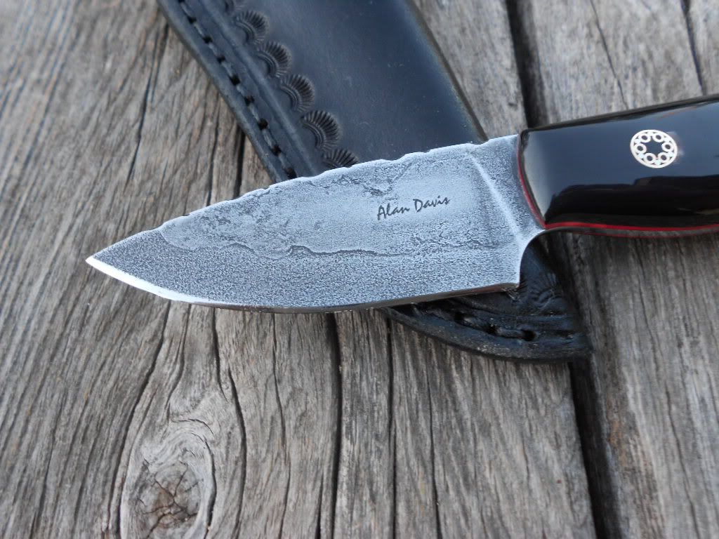Buffaloand1095030.jpg