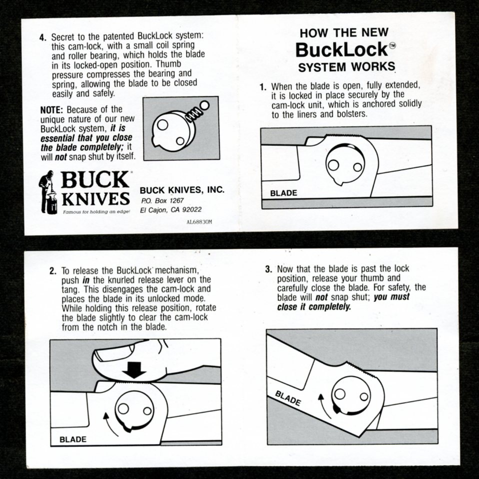 bucklock-img456.jpg