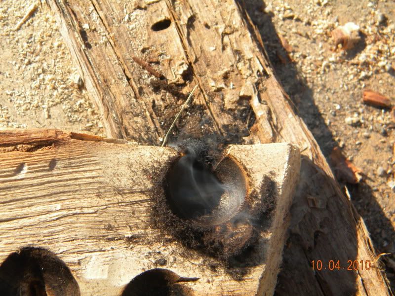DSCN2902.jpg