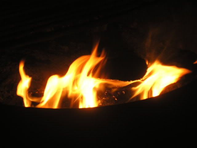 70f41773.jpg