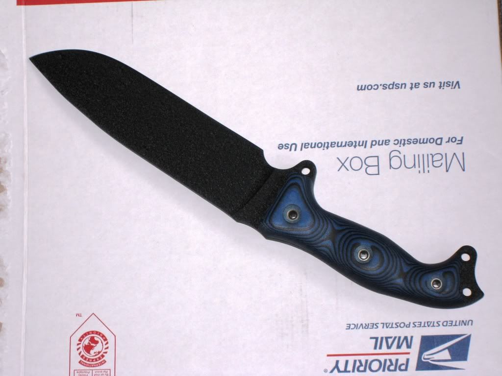 Picture683.jpg