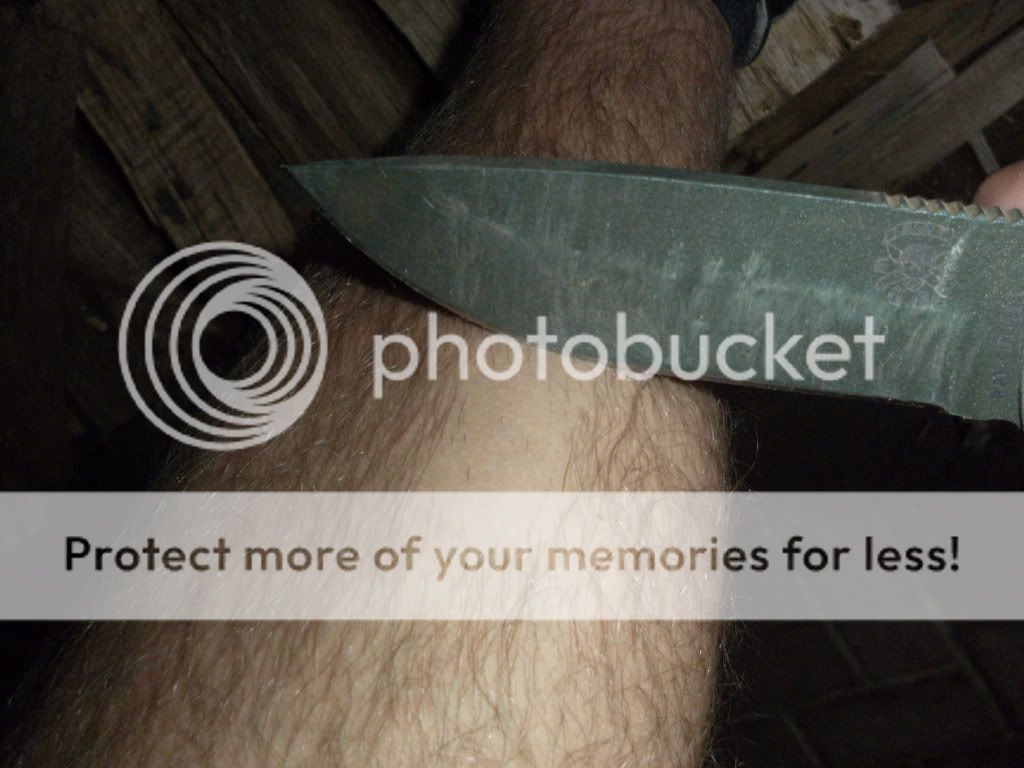 DSCF1234.jpg