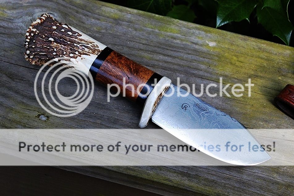 c294dcf3-3e3c-4ee8-b98e-ad1ac3cde59b.jpg