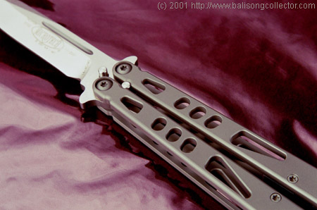 tachyon11S.JPG