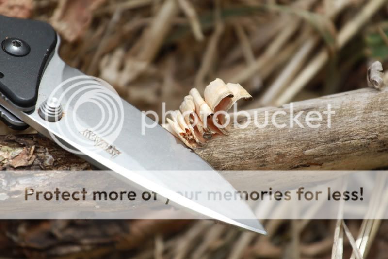 test1.jpg
