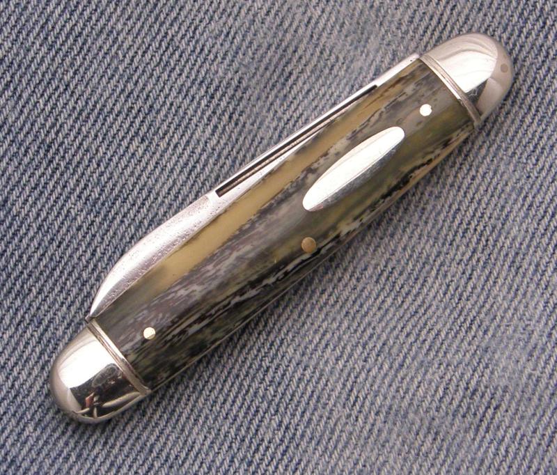 chapman-338cellcattle-1.jpg
