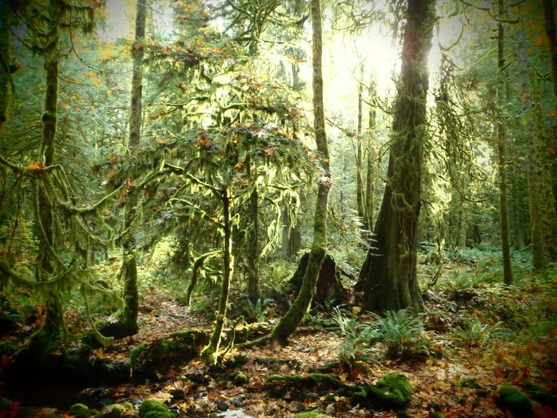PB010010.jpg