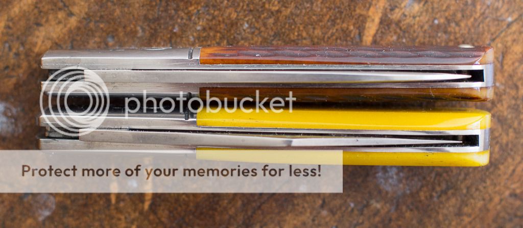 P8120003.jpg~original