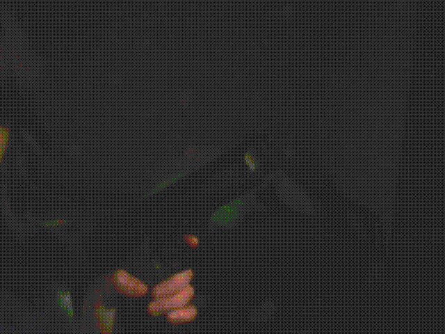 Beretta_Elite_II_Trigger_Pull.gif