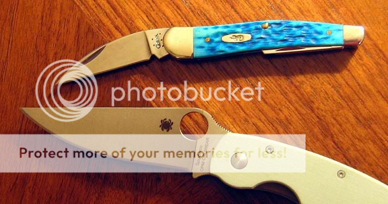IMG_2109copy_zps6ac33179.jpg