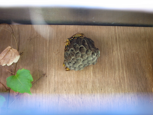 2012.10.25.R0015645.JPG