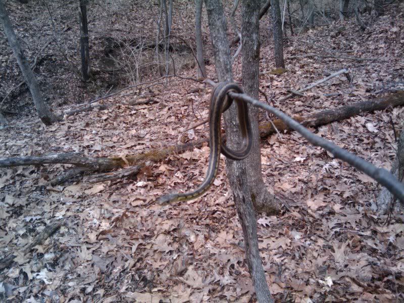 2011-03-18131925.jpg
