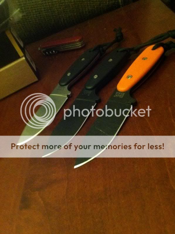 IMG_1220_zps6edde0d7.jpg