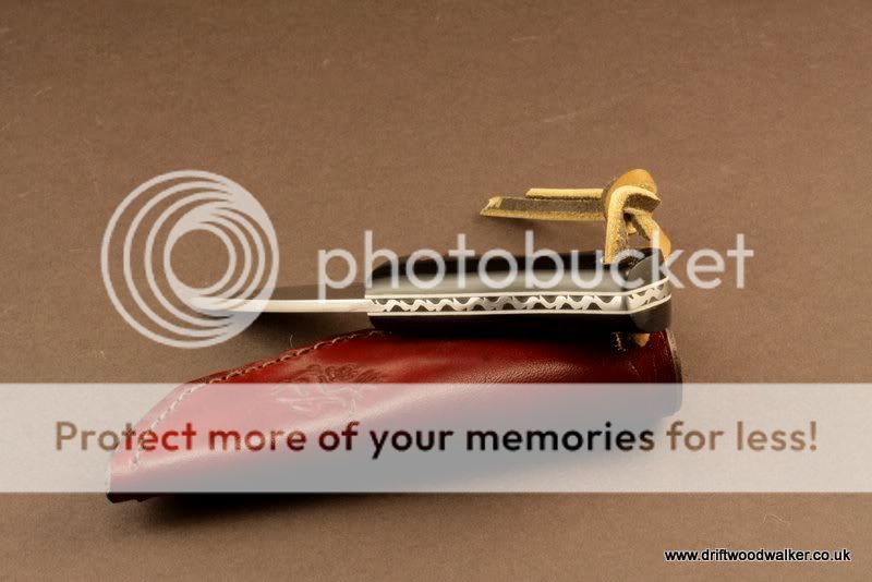 IMG_00011.jpg