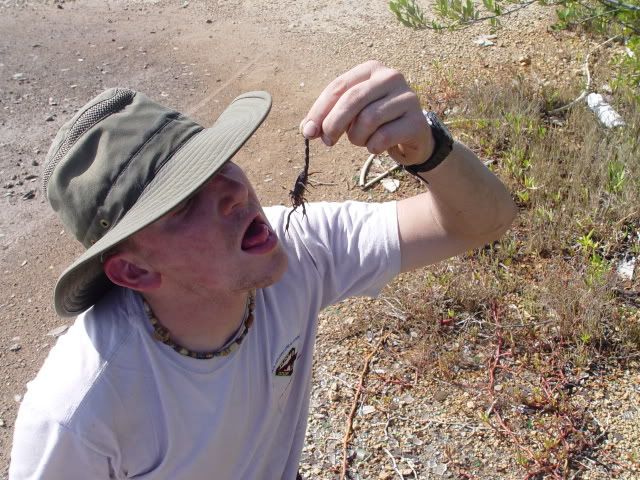 DSC05094.jpg