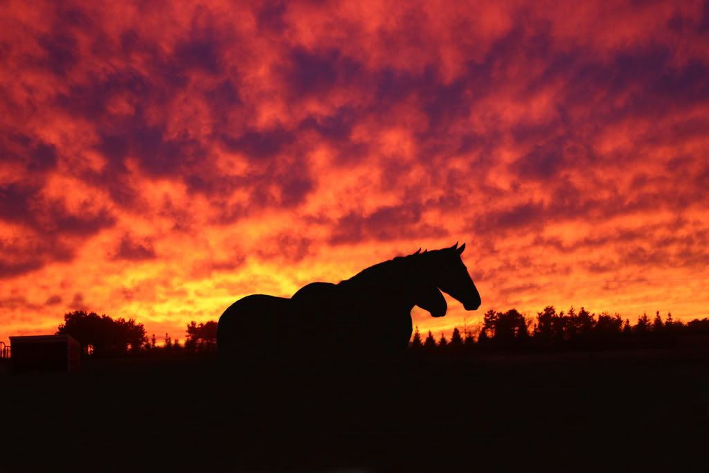Sunset102307-1.jpg