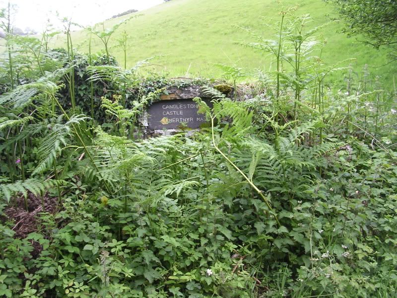 DSCN2140.jpg