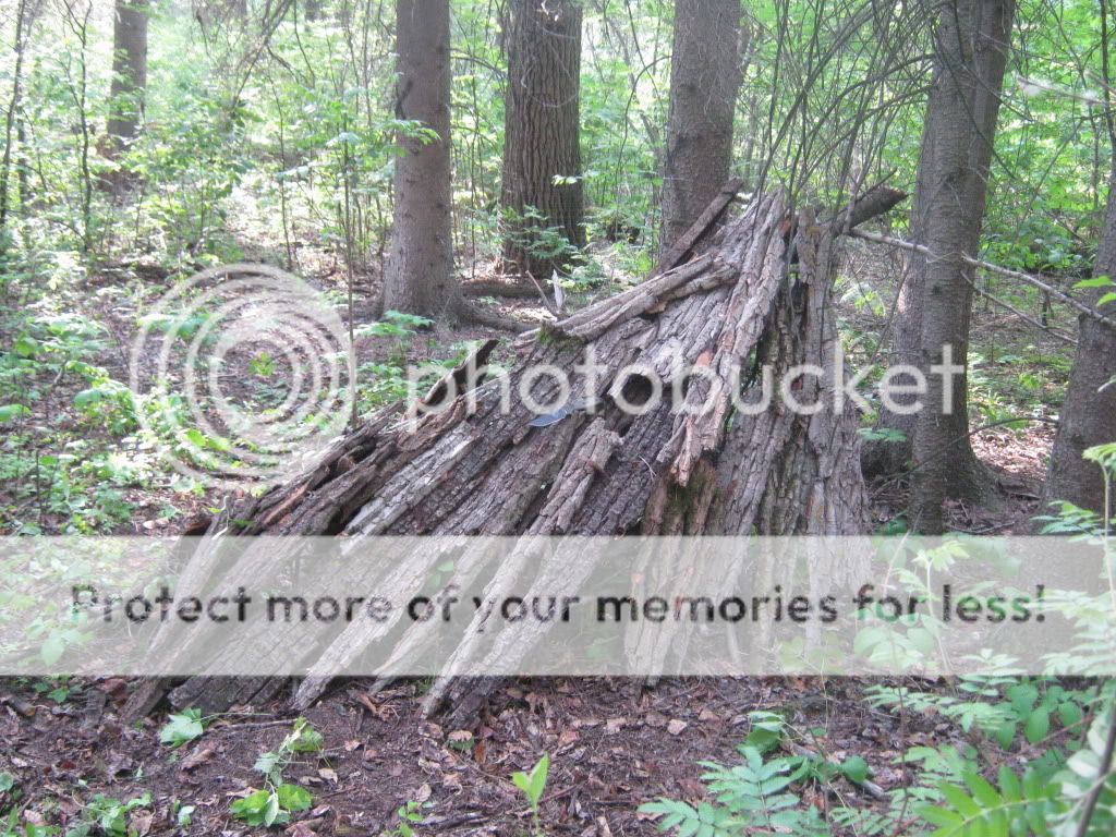 june192010023.jpg