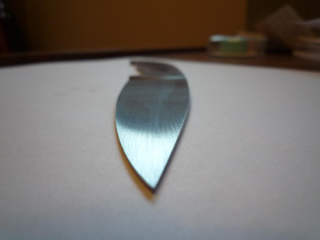 P1000527.jpg