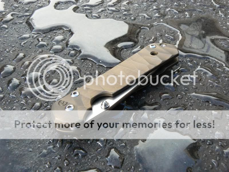Sebenza.jpg