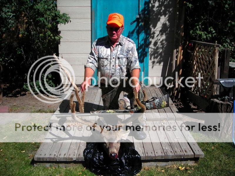 JacksDeer0001.jpg