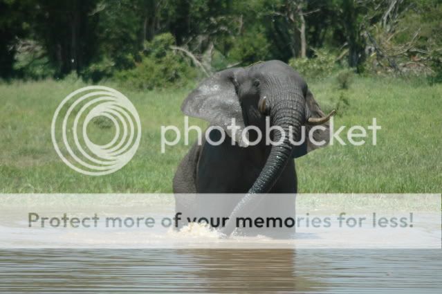 DSC_4543.jpg