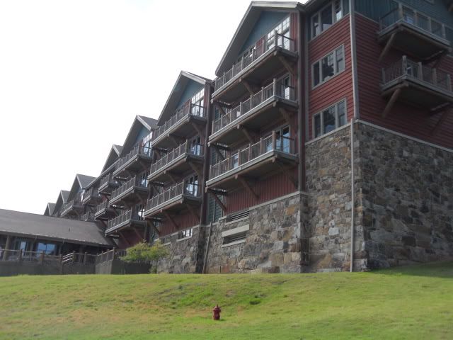SDC11452.jpg