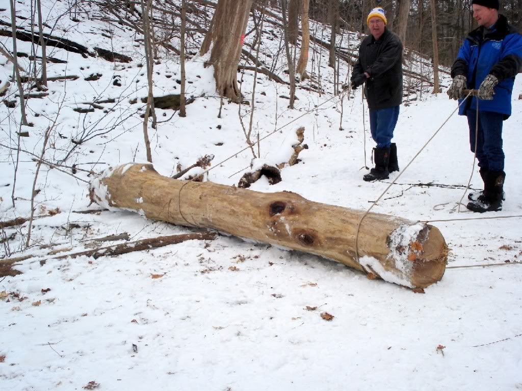 6-parbuckle-p.jpg