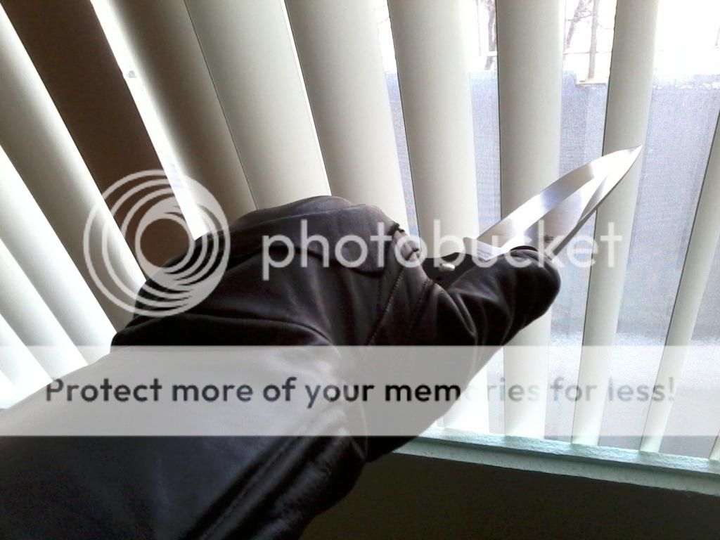 Photo0287_zpsi7a5kl89.jpg~original