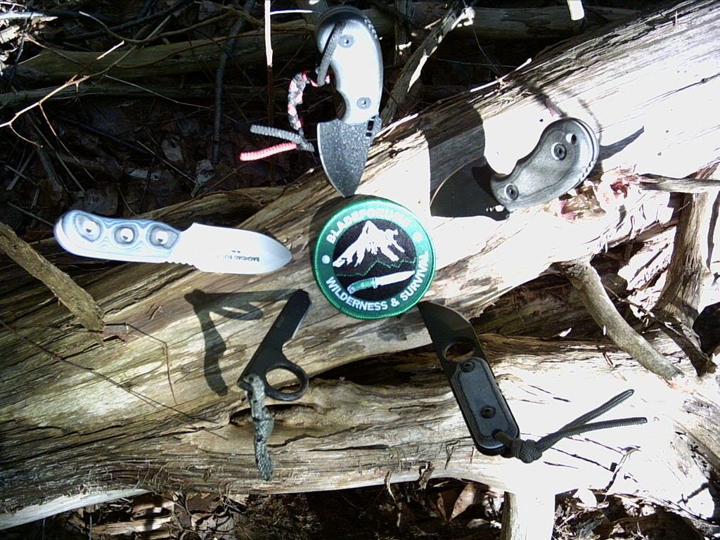 PICT0041.jpg