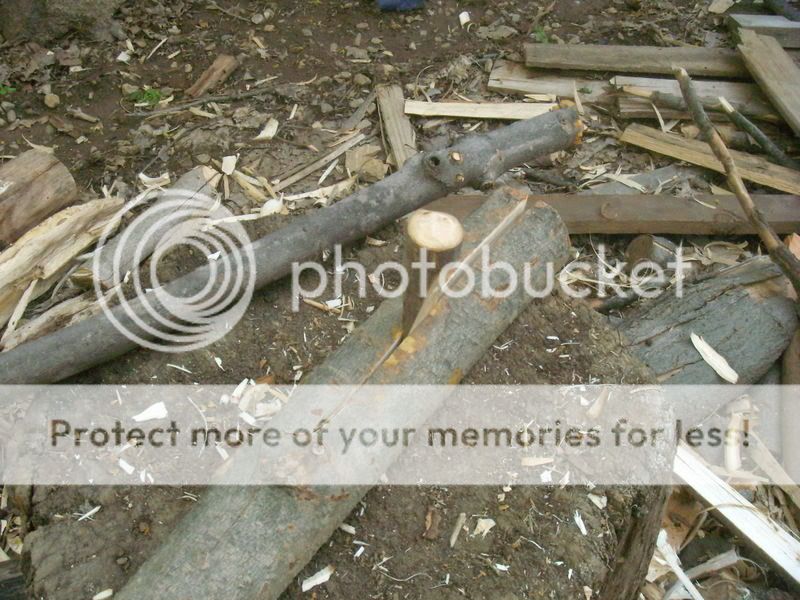DSCN5765.jpg