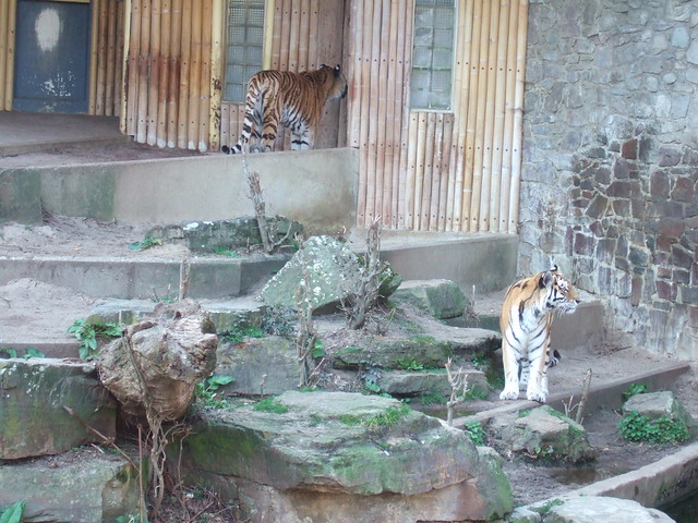 5544100728_e274d6f30d_z.jpg
