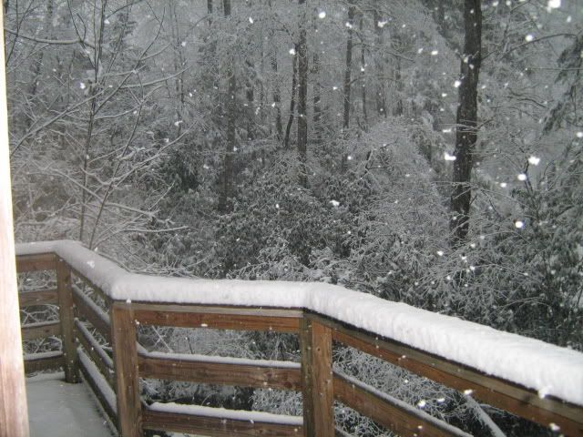 IMG_0696.jpg