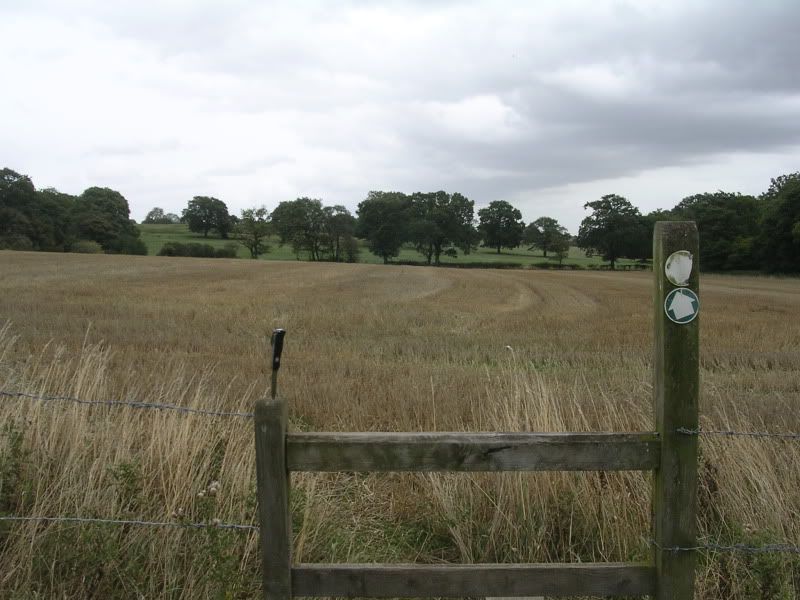 DSCN2772.jpg