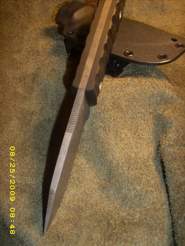 DSCI0854.jpg