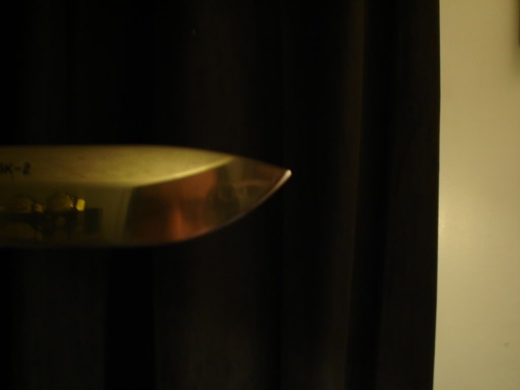 DSC01583.jpg