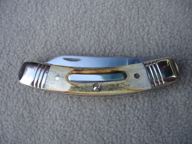 DSC01327.jpg