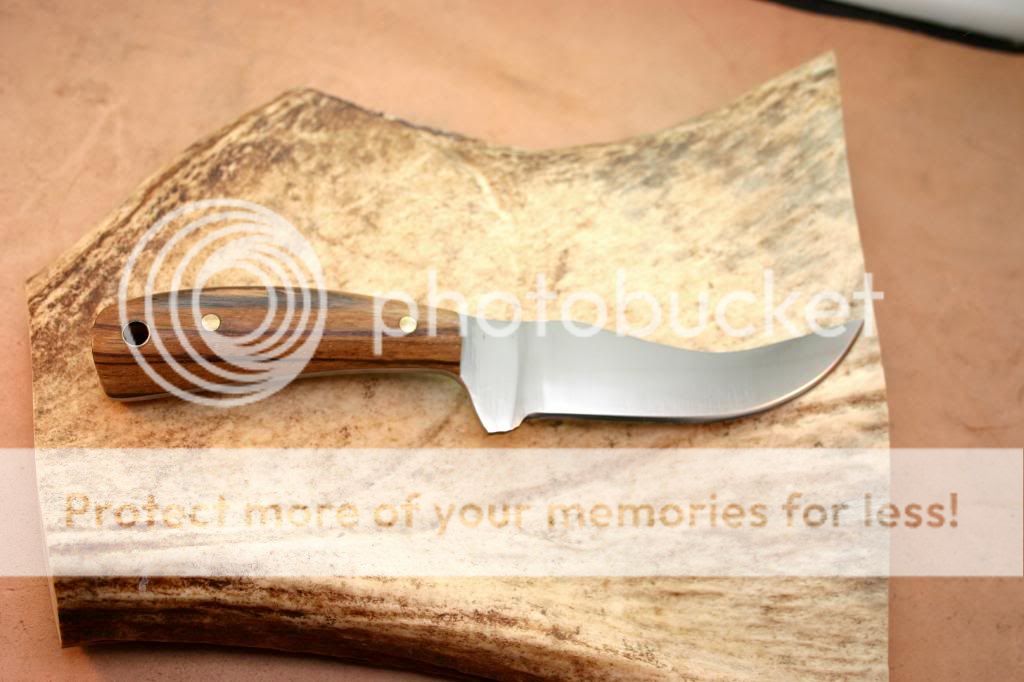 IMG_4329_1_zpsbc9e7878.jpg