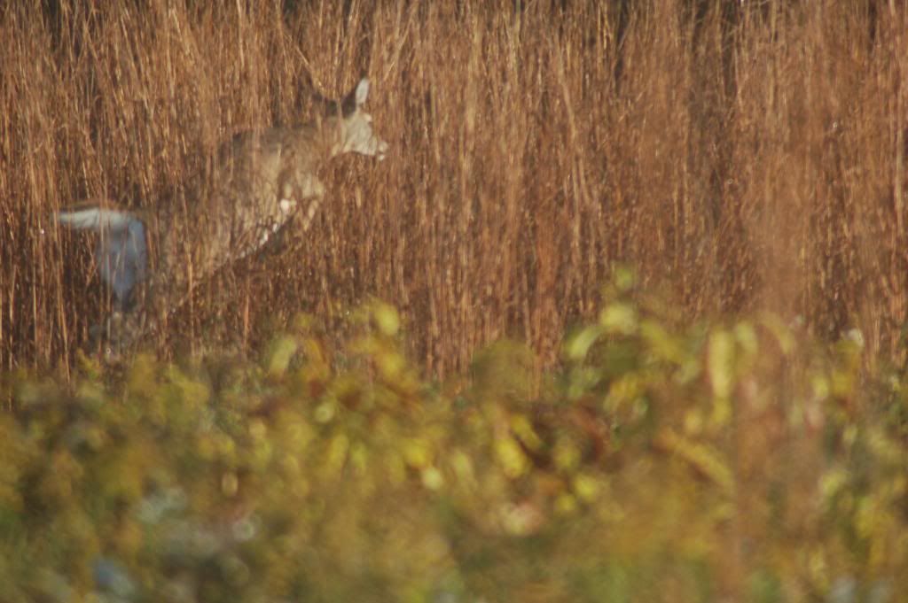 DSC_0092-2.jpg