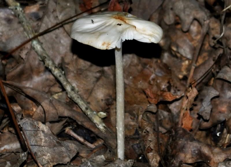 DSC_1013.jpg