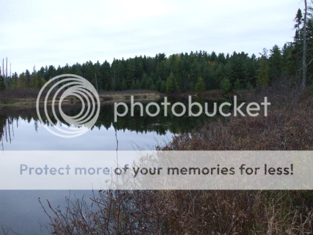 DSCF5803.jpg