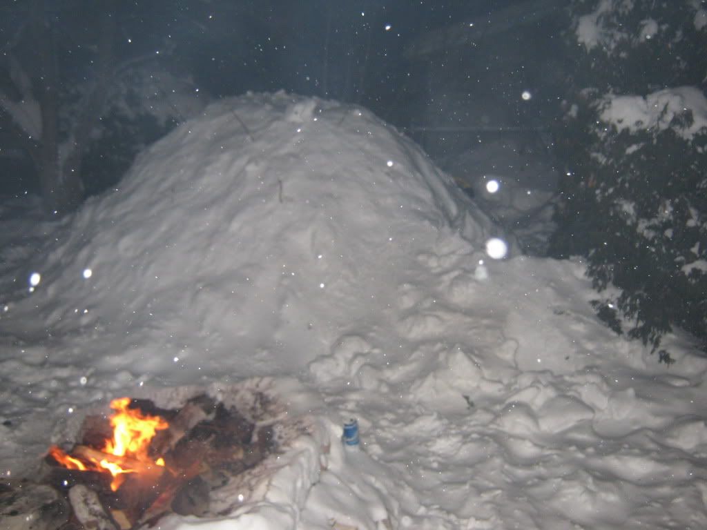 shelter4.jpg