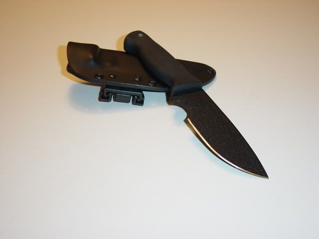 DSC01768.jpg